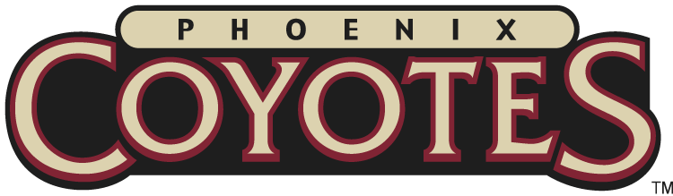 Phoenix Coyotes 2003-2008 Wordmark Logo DIY iron on transfer (heat transfer)